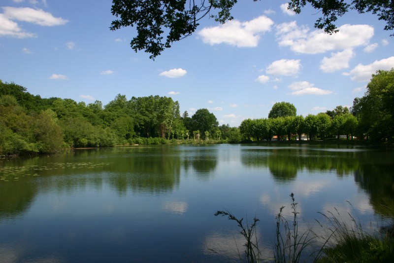 Etang privé de pêche du camping l'étang d'Ardy - Landes