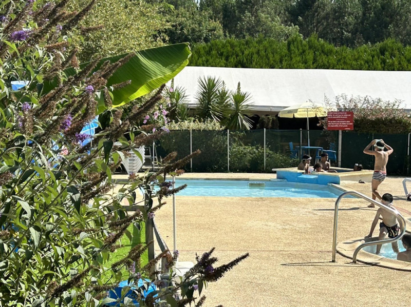 piscine 2024