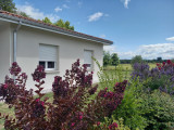 09-Jardin
