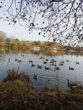 LAC DE CHRISTUS