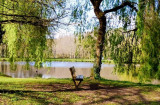 Lac