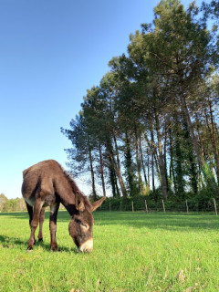 ane-apurna-2024-01-16-25684