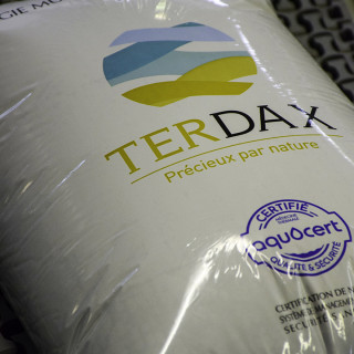 terdax2-23442