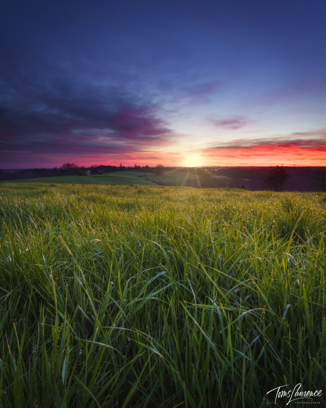 20210216-com-photo-circuit-chalosse-paysage-de-chalosse-c-lrc-photographie-1600x2000-25711