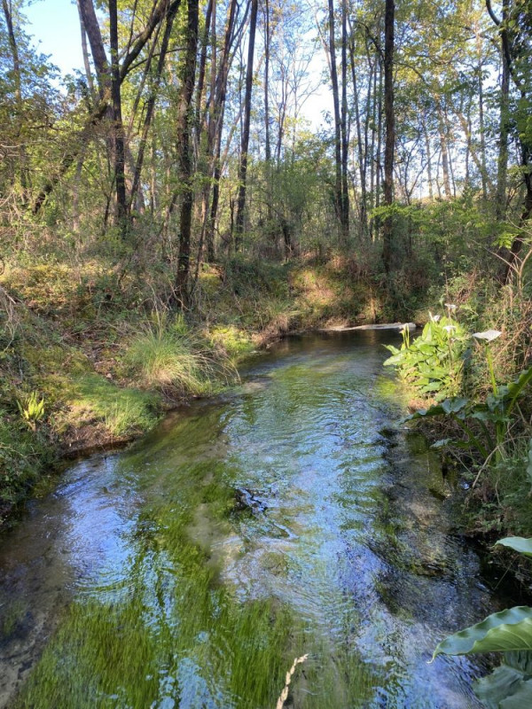 Balade en forêt - © Cottigny 2026 Balade en forêt