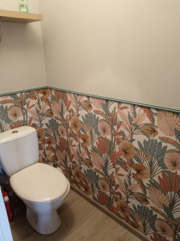 IMG_20250731_1201481