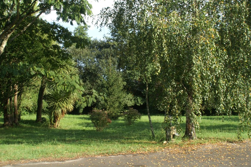 Parc ombragé