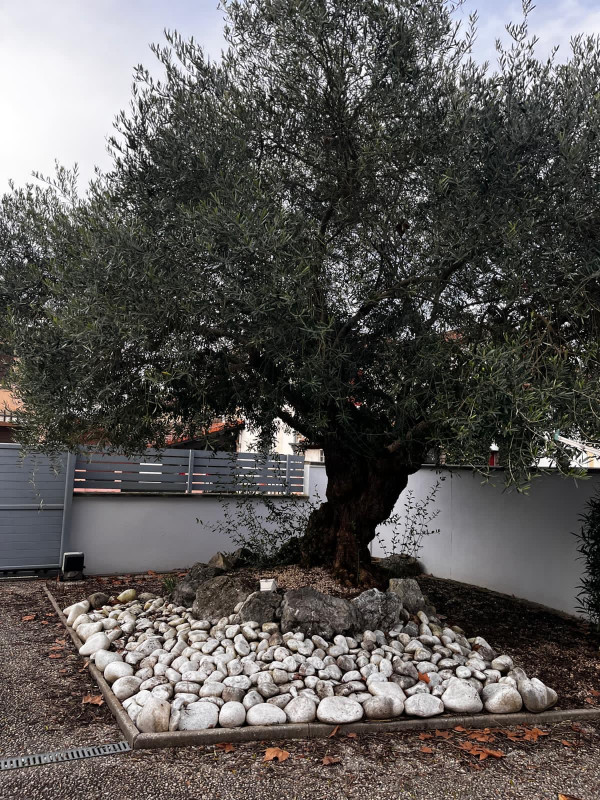 a47fc6fb-bc0d-4e97-9fd5-6d018b8041af - © Bernadet 2026 a47fc6fb-bc0d-4e97-9fd5-6d018b8041af