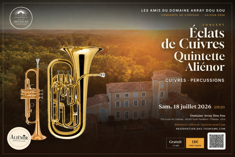 officiel-affiche-eclats-de-cuivres-paysage-26598